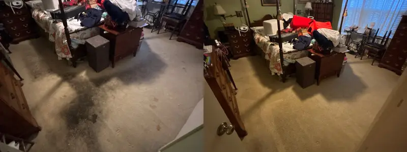 After photo from a real carpet cleaning job (11)