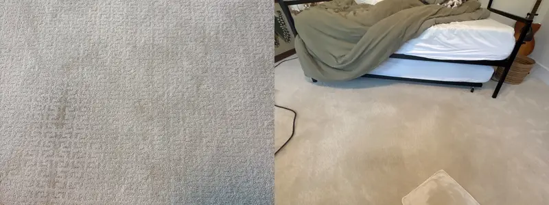 After photo from a real carpet cleaning job (17)