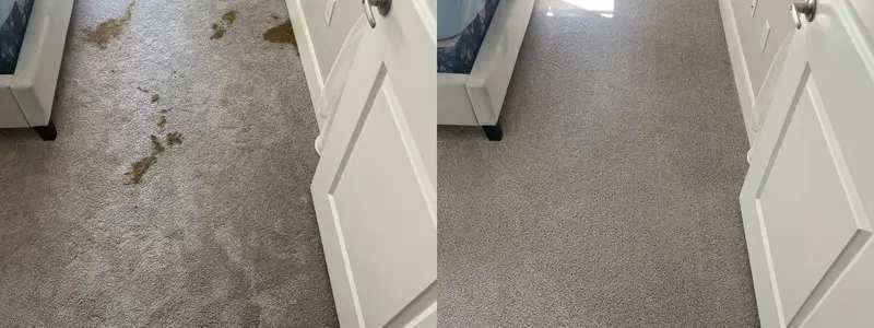Before and after from a real carpet cleaning job (22)