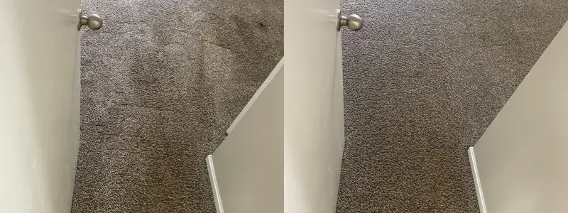 Before and after from a real carpet cleaning job (23)