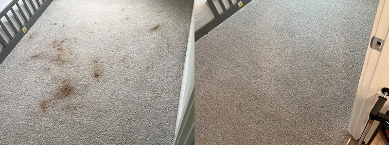 Before and after from a real carpet cleaning job (25)