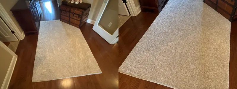 After photo from a real carpet cleaning job (26)