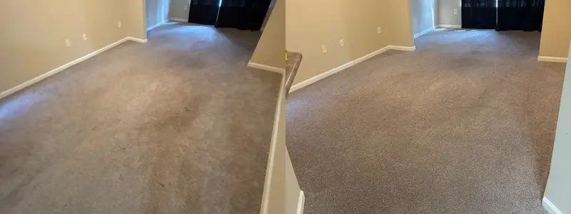 After photo from a real carpet cleaning job (3)