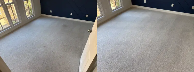 Before and after from a real carpet cleaning job (30)