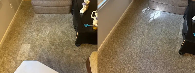 Before and after from a real carpet cleaning job (31)