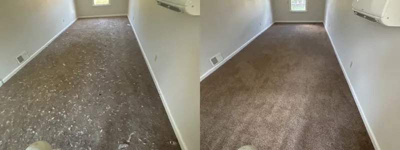 Before and after from a real carpet cleaning job (5)