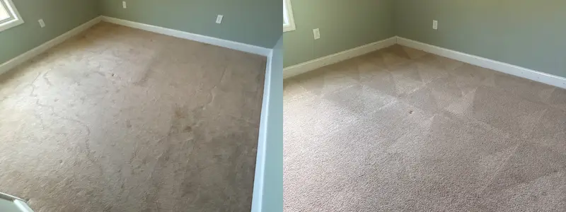 Before and after from a real carpet cleaning job (9)