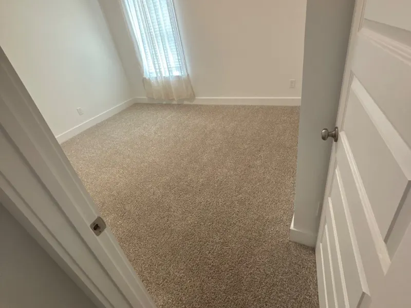 Freshly cleaned carpet on a real LocalPro job, photographed by our crew
