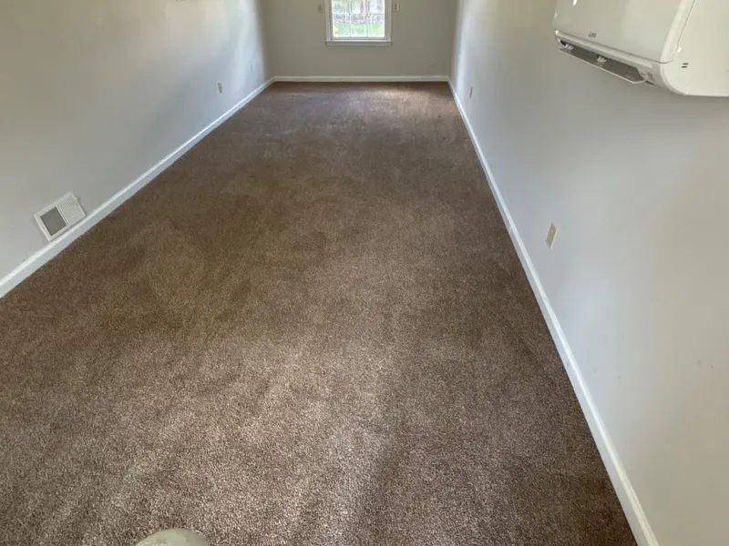 Freshly cleaned carpet on a real LocalPro job, photographed by our crew