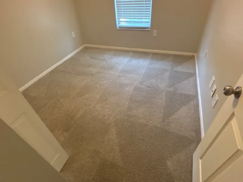 Freshly cleaned carpet on a real LocalPro job, photographed by our crew
