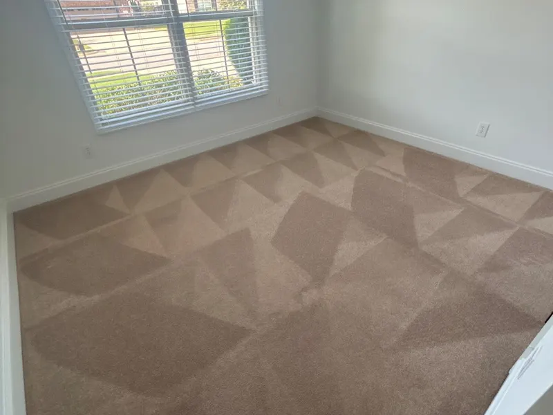 Freshly cleaned carpet on a real LocalPro job, photographed by our crew