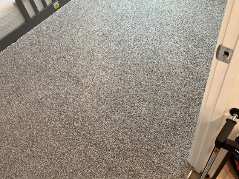 Freshly cleaned carpet on a real LocalPro job, photographed by our crew