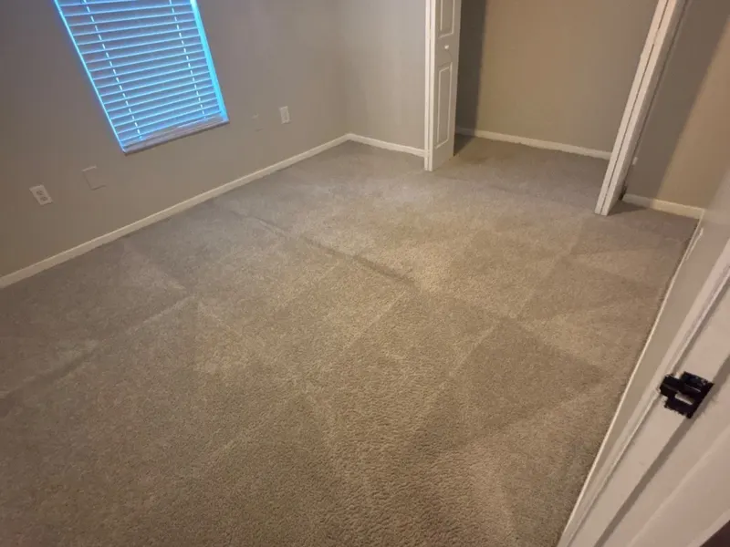 Freshly cleaned carpet on a real LocalPro job, photographed by our crew