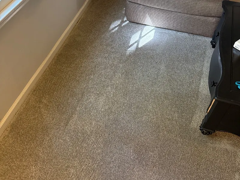 Freshly cleaned carpet on a real LocalPro job, photographed by our crew