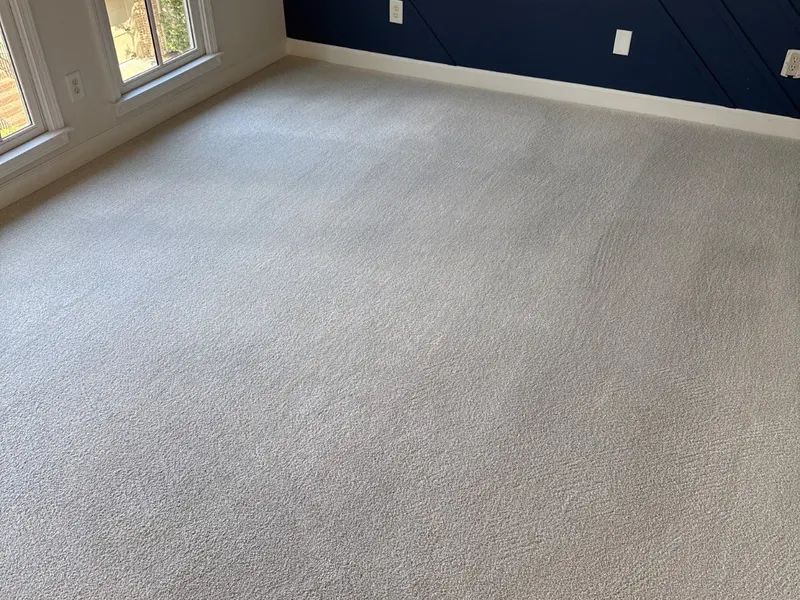 Freshly cleaned carpet on a real LocalPro job, photographed by our crew