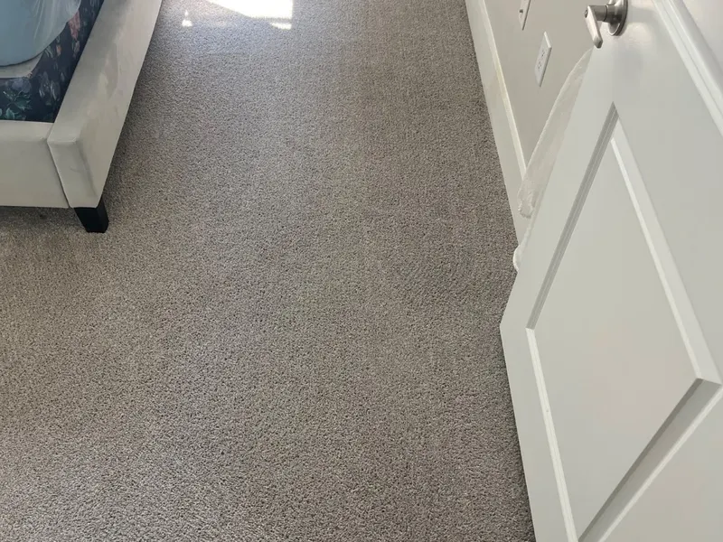 Freshly cleaned carpet on a real LocalPro job, photographed by our crew