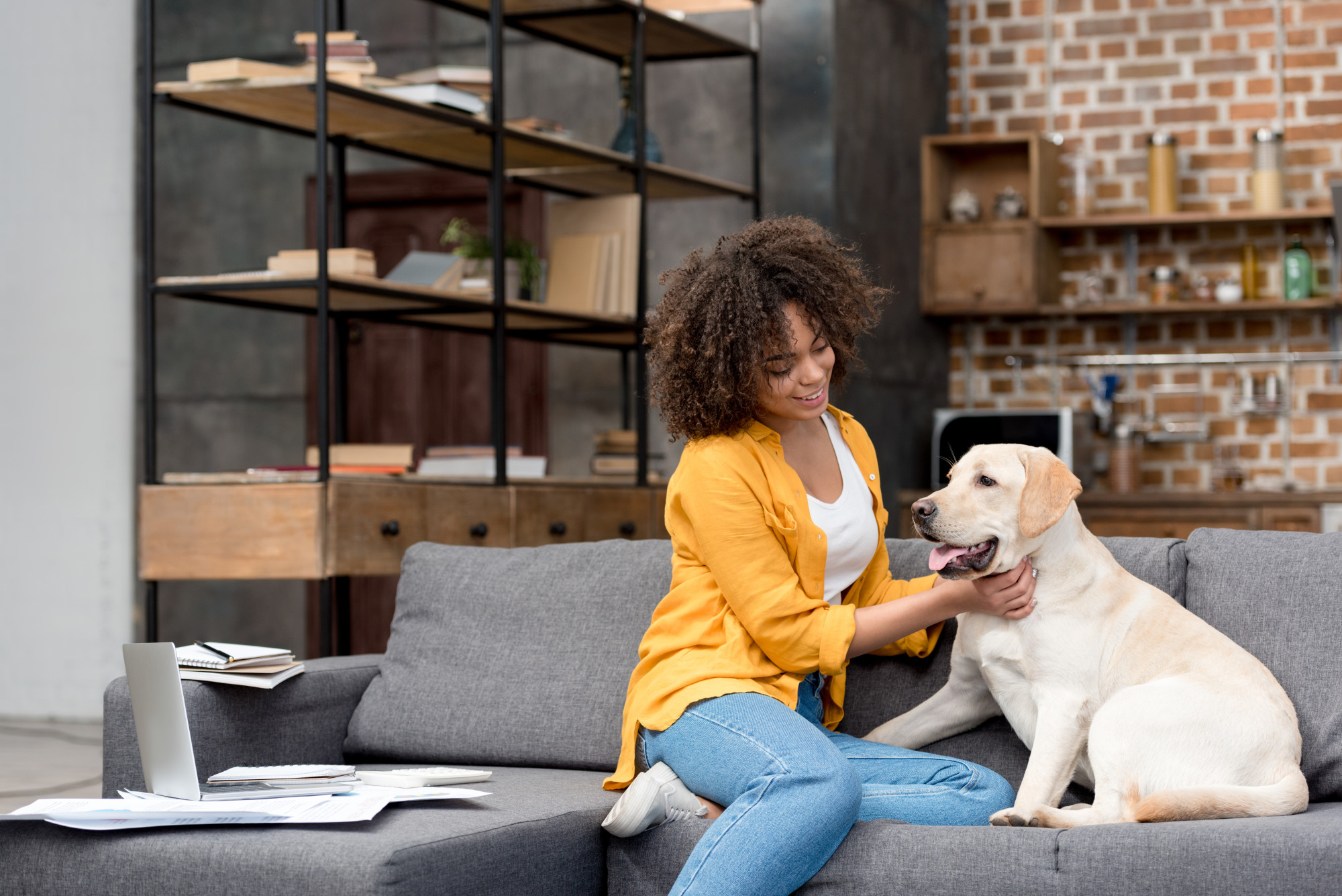 Remove pet hair from couches